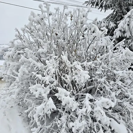 Chalpy Σπίτι διακοπών Sierockie